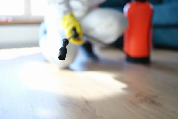 Best Mold Documentation for Insurance Claims  in West Elmira, NY