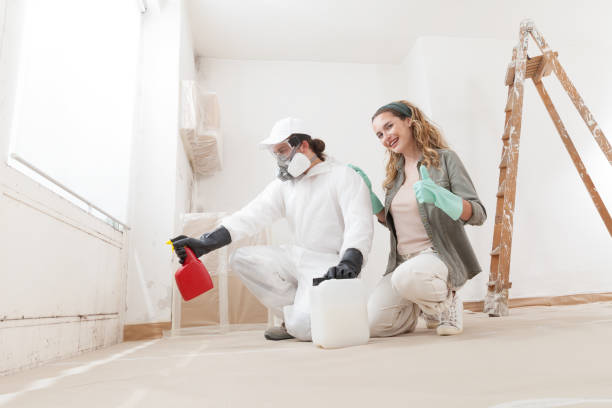 Best Black Mold Removal  in West Elmira, NY